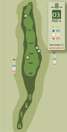 Hole1ZoomOutImage
